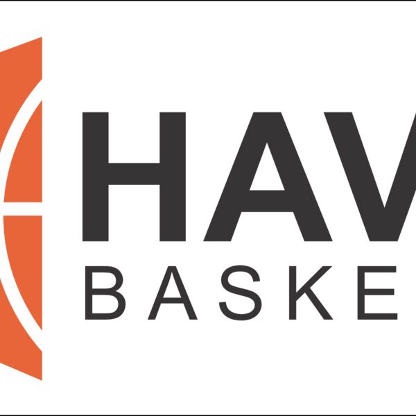 Havoc Decal 3x8 Thumbnail