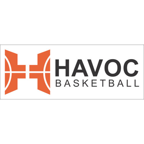 Havoc Decal 3x8 Thumbnail